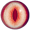 Albino Cat Eye. A premium grade Fox/Cat eye with a slit pupil. An excelllent exhibition quality eye. Albino Cat Eye. A premium grade Fox/Cat eye with a slit pupil. An excelllent exhibition quality eye.