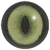 Green Cat Eye. A premium grade Fox/Cat eye with a slit pupil. An excelllent exhibition quality eye.