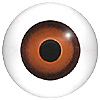 Brown Glass Doll Eyes. Hand painted glass doll eyes with a multicolour iris. Traditionally made eye with a bulging iris for an element of realism.