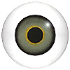 Green Glass Doll Eyes. Hand painted glass doll eyes with a multicolour iris. Traditionally made eye with a bulging iris for an element of realism. Green Glass Doll Eyes. Hand painted glass doll eyes with a multicolour iris. Traditionally made eye with a bulging iris for an element of realism.