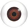 Last chance to buy - Multicoloured mannequin. Hand painted mannequin eyes with a multicolour iris.