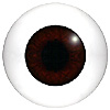 LAST CHANCE TO BUY - LIMITED STOCK Human or Doll eyes. A great mannequin eye that can double as a human eye if required.