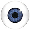 LAST CHANCE TO BUY - LIMITED STOCK Human or Doll eyes. A great mannequin eye that can double as a human eye if required. 
