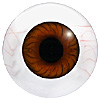 Human or Doll eyes. A great mannequin eye that can double as a human eye if required. The eye is quite fragile but can be back filled for stability.