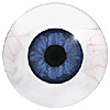 LAST CHANCE TO BUY - LIMITED STOCK  Human or Doll eyes. A great mannequin eye that can double as a human eye if required.
