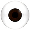 Mannequin Human or Doll eyes without veins. This is the closest to a prosthetic eye available for the price. Ideal for close up camera work or display models.