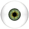 Mannequin Human or Doll eyes without veins. This is the closest to a prosthetic eye available for the price. Ideal for close up camera work or display models.