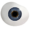 Mouth blown Mannequin Human or Doll eyes with prosthetic shells without veins. Ideal for Film and TV use.