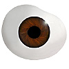 Mouth blown Mannequin Human or Doll eyes with prosthetic shells without veins. Ideal for Film and TV use.