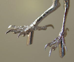 With a tarsus measurement of approximately 13mm these feet can be used for a variety of birds including Wren, Great Tit, Yellow Hammer and most Finches and Tree Creeper.