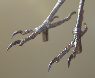 Green Woodpecker Pewter Bird Feet