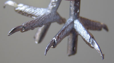 With a tarsus measurement of approximately 10mm these feet can be used for a number of small owls and miniature carvings