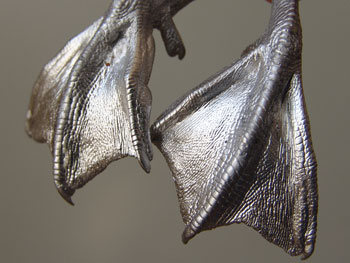 LAST CHANCE TO BUY - LIMITED STOCK - With a tarsus measurement of approximately 38mm these feet can be used for a variety of Ducks including Mandarin and Wood Duck
