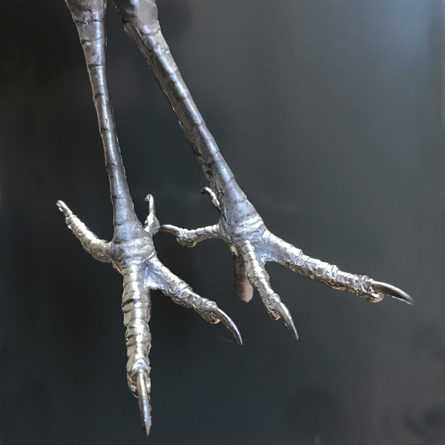 LAST CHANCE TO BUY - LIMITED STOCK - With a tarsus measurement of approximately 62mm these feet can be used for a variety of birds including large Kingfishers and Woodpeckers.