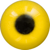 Yellow Acrylic eyes. This revolution in bird eye technology was created by award winning taxidermist Erling Morch. Created in crystal clear acrylic  this natural looking eye has an accurately blended iris and a beautifully feathered pupil set at the correct depth to give the most natural all round look.