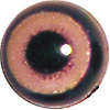 Buzzard Acrylic eyes. This revolution in bird eye technology was created by award winning taxidermist Erling Merch. Created in crystal clear acrylic this natural looking eye has an accurately blended iris and a beautifully feathered pupil set at the correct depth to give the most natural all round look. Buzzard Acrylic eyes. This revolution in bird eye technology was created by award winning taxidermist Erling Merch. Created in crystal clear acrylic this natural looking eye has an accurately blended iris and a beautifully feathered pupil set at the correct depth to give the most natural all round look.