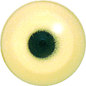 EMGANY-13 LAST CHANCE TO BUY - LIMITED STOCK Acrylic Gannet eyes. This revolution in bird eye technology was created by award winning taxidermist Erling Morch. Created in crystal clear acrylic this natural looking eye has an accurately blended iris and a beautifully feathered pupil set at the correct depth to give the most natural all round look.