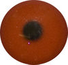 Great Nthn Diver Eyes. This revolution in bird eye technology was created by award winning taxidermist Erling Morch. Created in crystal clear acrylic this natural looking eye has an accurately blended iris and a beautifully feathered pupil set at the correct depth to give the most natural all round look. Great Nthn Diver Eyes. This revolution in bird eye technology was created by award winning taxidermist Erling Morch. Created in crystal clear acrylic this natural looking eye has an accurately blended iris and a beautifully feathered pupil set at the correct depth to give the most natural all round look.