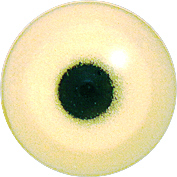 EMHER-13 LAST CHANCE TO BUY - LIMITED STOCK Heron eyes. This revolution in bird eye technology was created by award winning taxidermist Erling Morch. Created in crystal clear acrylic  this natural looking eye has an accurately blended iris and a beautifully feathered pupil set at the correct depth to give the most natural all round look.