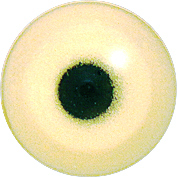 EMHER-13 LAST CHANCE TO BUY - LIMITED STOCK Heron eyes. This revolution in bird eye technology was created by award winning taxidermist Erling Morch. Created in crystal clear acrylic  this natural looking eye has an accurately blended iris and a beautifully feathered pupil set at the correct depth to give the most natural all round look.