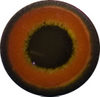 EMWDW-10 LAST CHANCE TO BUY - LIMITED STOCK Acrylic Woodduck eyes Winter. This revolution in bird eye technology was created by award winning taxidermist Erling Morch. Created in crystal clear acrylic  this natural looking eye has an accurately blended iris and a beautifully feathered pupil set at the correct depth to give the most natural all round look.